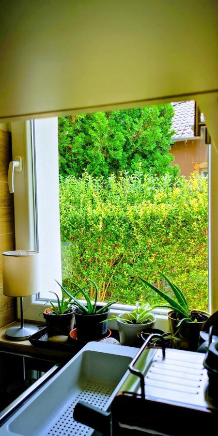 Arvalanyhaj Home Apartman Herceghalom Εξωτερικό φωτογραφία